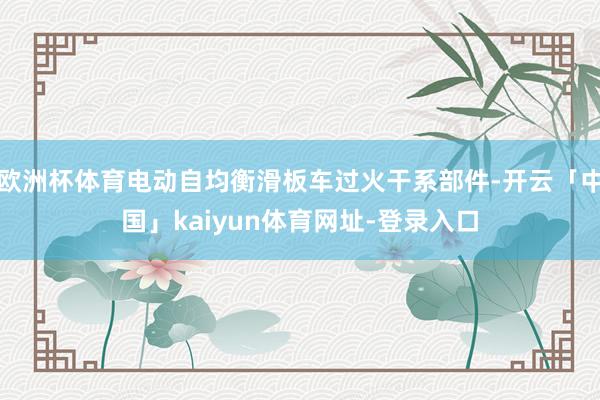 欧洲杯体育电动自均衡滑板车过火干系部件-开云「中国」kaiyun体育网址-登录入口