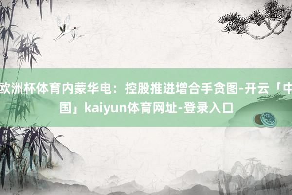 欧洲杯体育内蒙华电：控股推进增合手贪图-开云「中国」kaiyun体育网址-登录入口