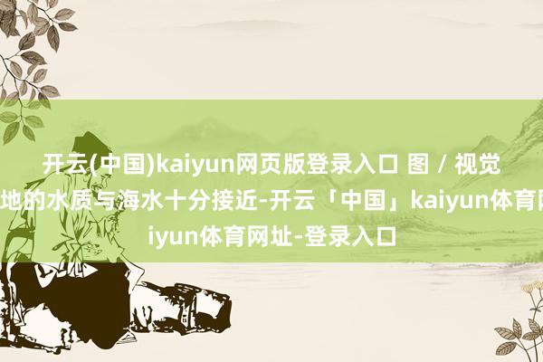 开云(中国)kaiyun网页版登录入口 图 / 视觉中国新疆盐碱地的水质与海水十分接近-开云「中国」kaiyun体育网址-登录入口