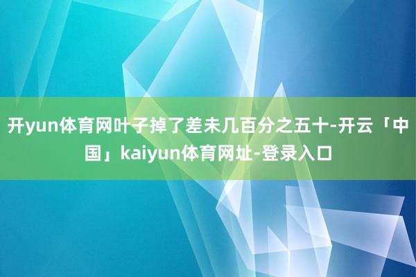 开yun体育网叶子掉了差未几百分之五十-开云「中国」kaiyun体育网址-登录入口