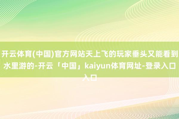 开云体育(中国)官方网站天上飞的玩家垂头又能看到水里游的-开云「中国」kaiyun体育网址-登录入口