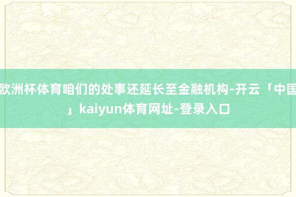 欧洲杯体育咱们的处事还延长至金融机构-开云「中国」kaiyun体育网址-登录入口