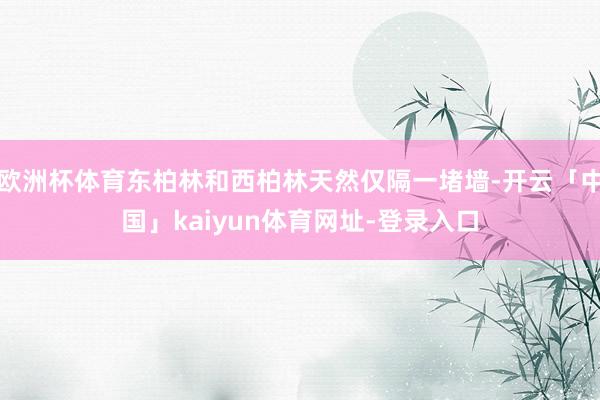 欧洲杯体育东柏林和西柏林天然仅隔一堵墙-开云「中国」kaiyun体育网址-登录入口
