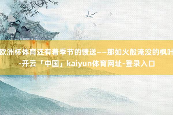 欧洲杯体育还有着季节的馈送——那如火般淹没的枫叶-开云「中国」kaiyun体育网址-登录入口