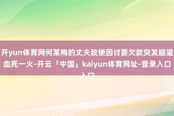 开yun体育网何某梅的丈夫致使因讨要欠款突发脑溢血死一火-开云「中国」kaiyun体育网址-登录入口