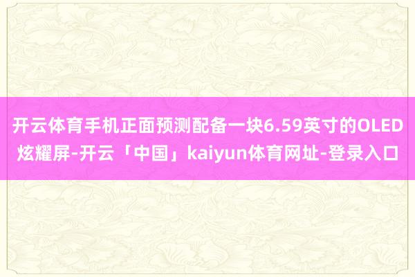开云体育手机正面预测配备一块6.59英寸的OLED炫耀屏-开云「中国」kaiyun体育网址-登录入口