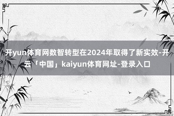 开yun体育网数智转型在2024年取得了新实效-开云「中国」kaiyun体育网址-登录入口