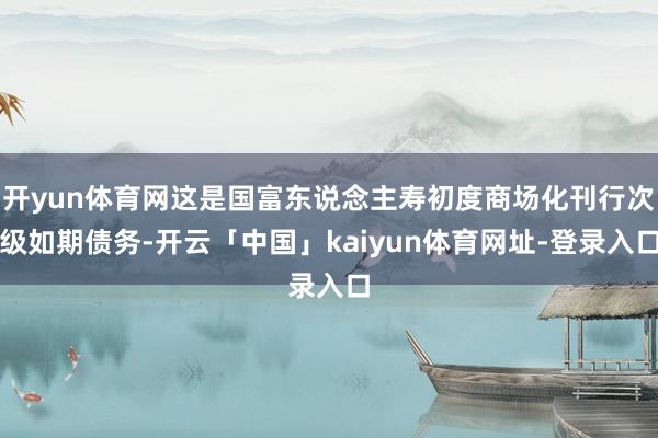 开yun体育网这是国富东说念主寿初度商场化刊行次级如期债务-开云「中国」kaiyun体育网址-登录入口
