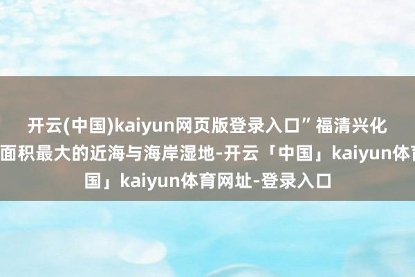 开云(中国)kaiyun网页版登录入口”福清兴化湾是福建省滩涂面积最大的近海与海岸湿地-开云「中国」kaiyun体育网址-登录入口