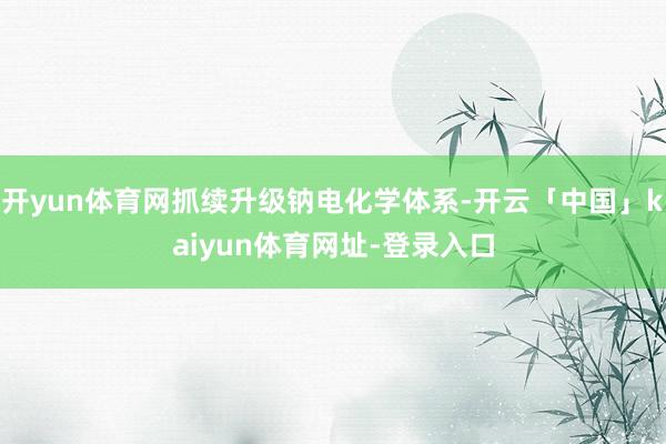 开yun体育网抓续升级钠电化学体系-开云「中国」kaiyun体育网址-登录入口