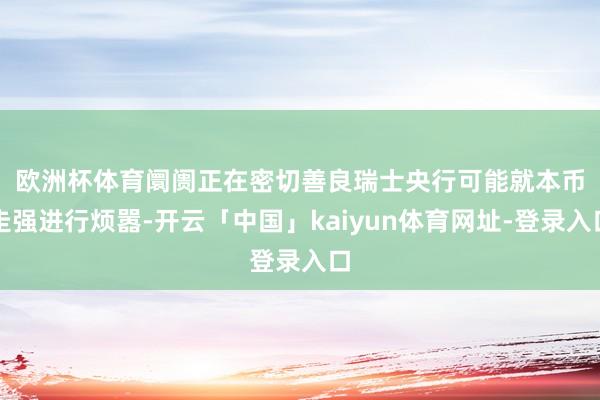 欧洲杯体育　　阛阓正在密切善良瑞士央行可能就本币走强进行烦嚣-开云「中国」kaiyun体育网址-登录入口